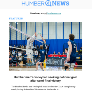 newsletterscreenshot